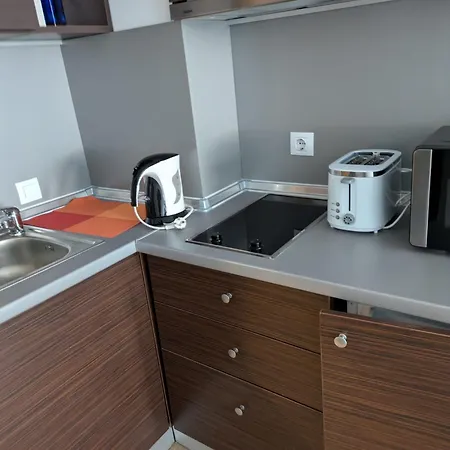 公寓 Mountain Paradise 2 - Quiet Cosy - Balcony, Wifi 班斯科